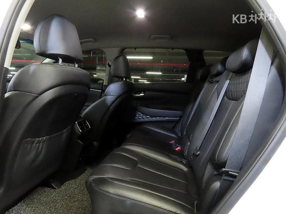 Hyundai Santa Fe TMDiesel 2.0 2WD Exclusive Special (special feature/edition) - 7