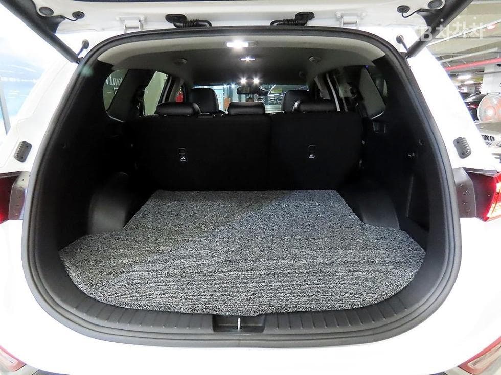 Hyundai Santa Fe TMDiesel 2.0 2WD Exclusive Special (special feature/edition) - 17