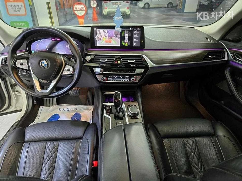 BMW 올Нов5 Серия (G30)530i xDrive Luxury - 10