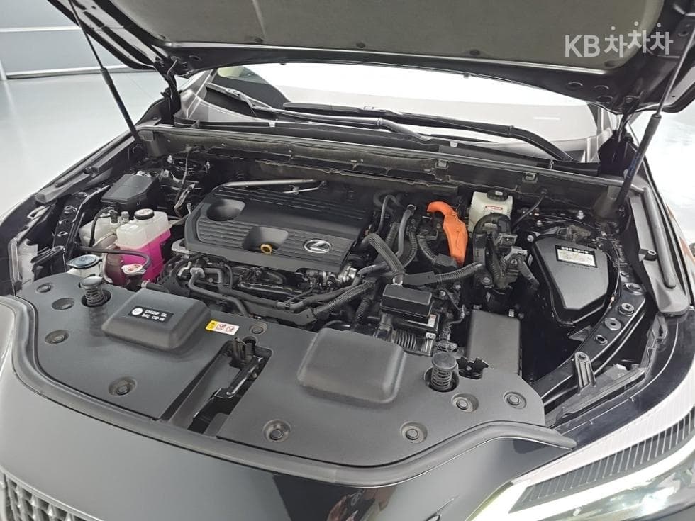Lexus NX (Lexus SUV)(AZ20)350h Premium - 5