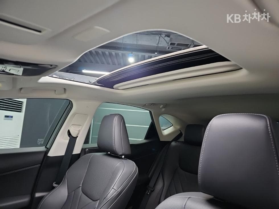 Lexus NX (Lexus SUV)(AZ20)350h Premium - 13