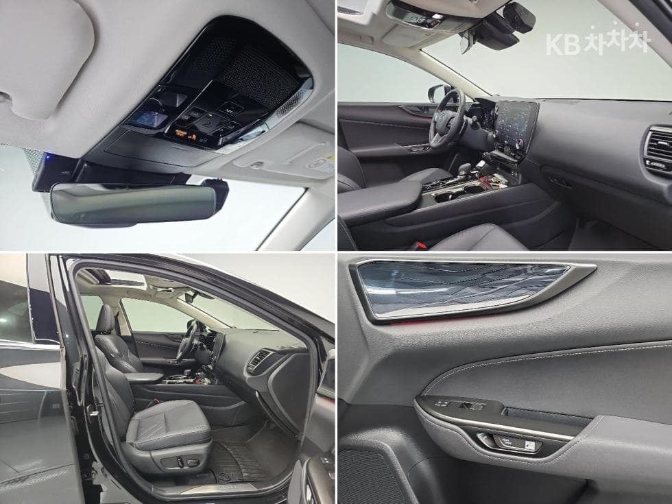 Lexus NX (Lexus SUV)(AZ20)350h Premium - 19