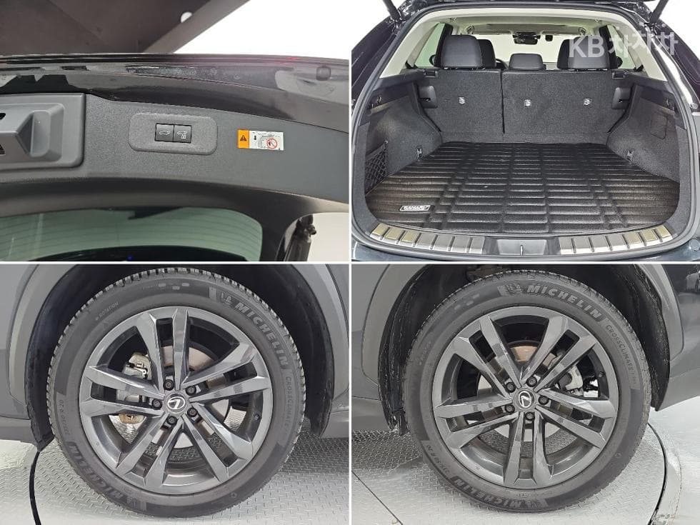 Lexus NX (Lexus SUV)(AZ20)350h Premium - 20