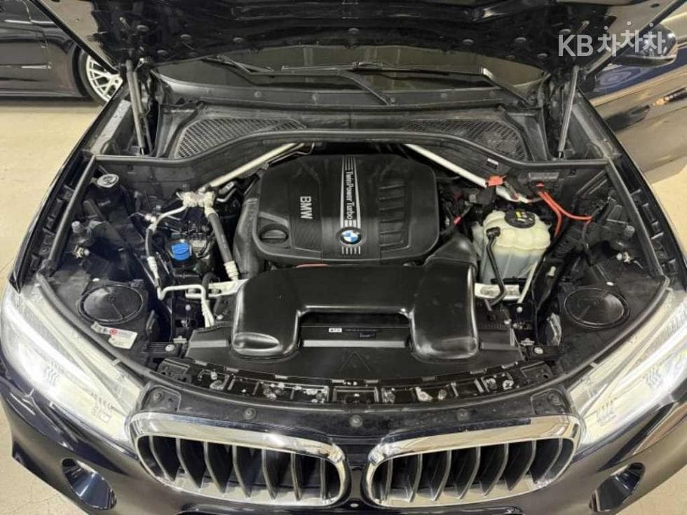 BMW X5 (F15)xDrive 30d Стандартен - 19