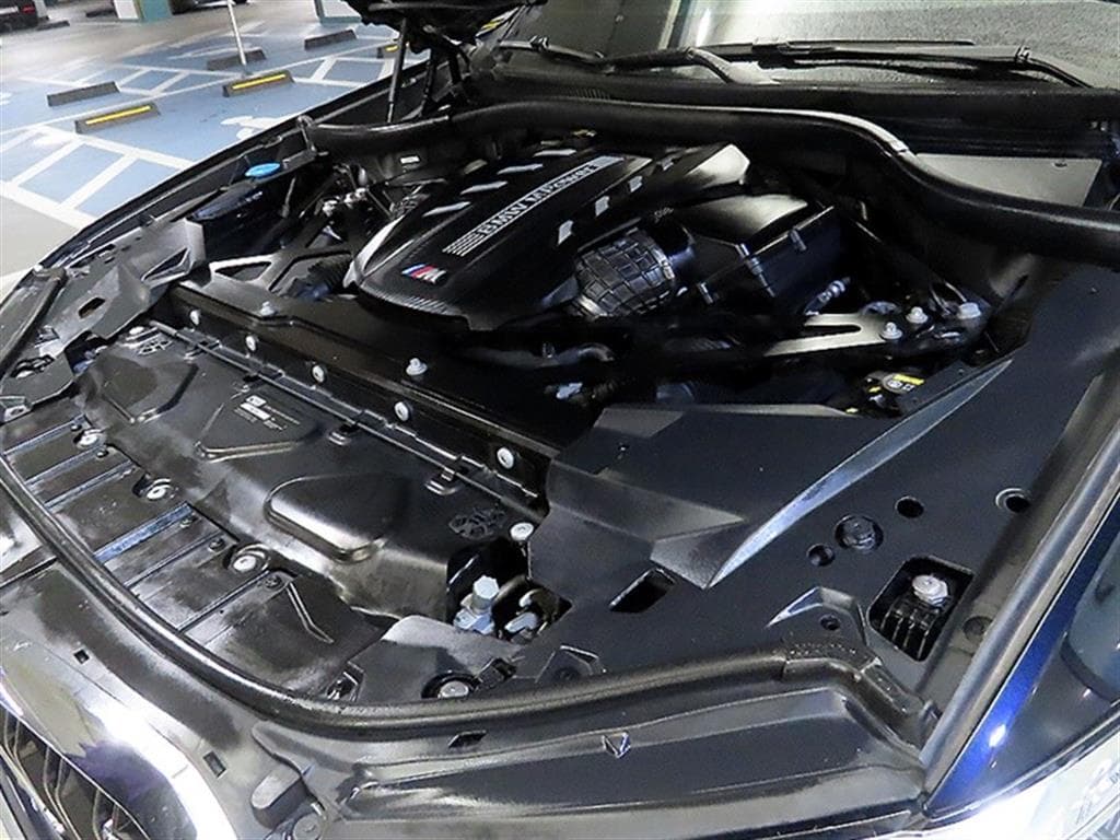 BMW M시리즈X5 M F95 - 19