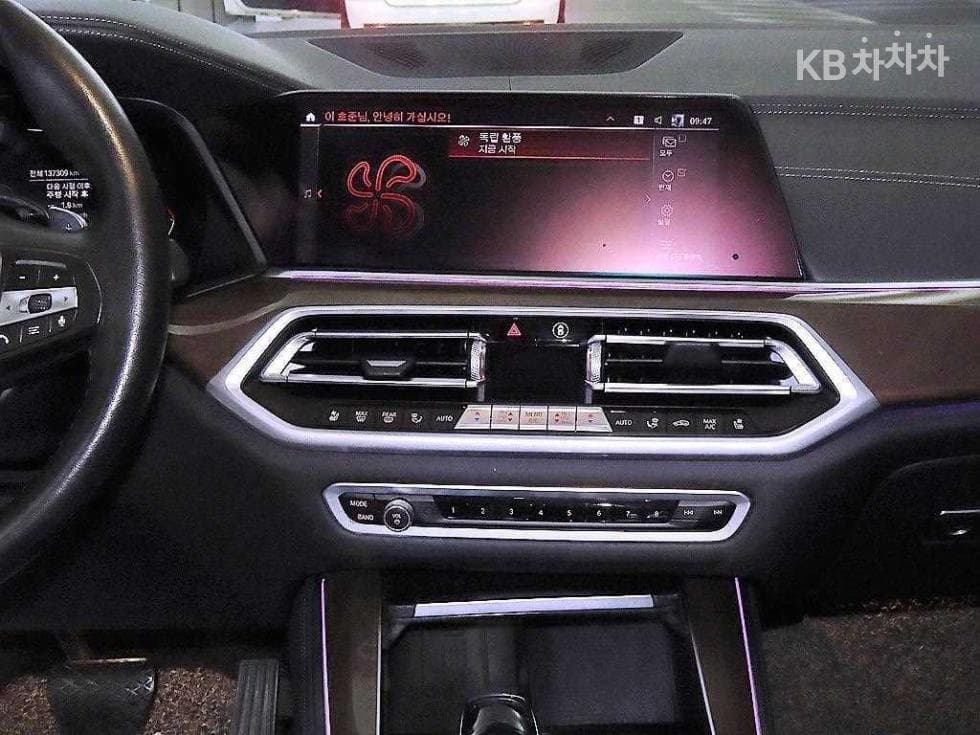 BMW X5 (G05)xDrive 30d xLine - 11