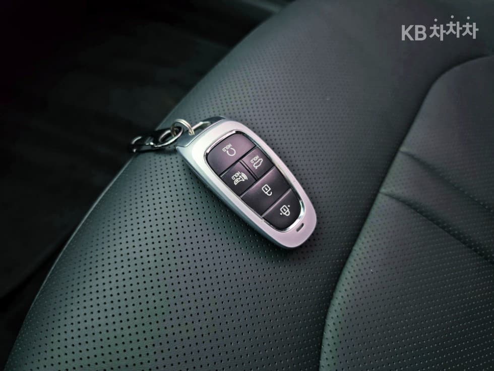 Hyundai Sonata (DN8)2.0 LPG Rental car Smart - 17