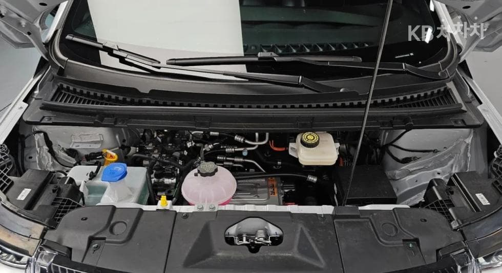 BYD 돌핀돌핀 기본 - 5