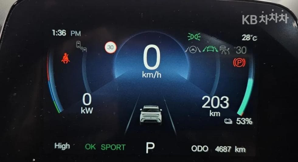 BYD 돌핀돌핀 기본 - 7