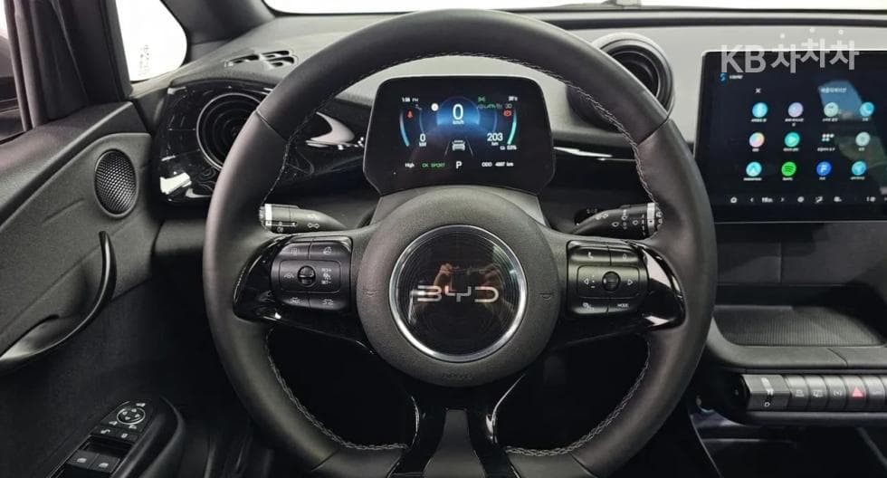 BYD 돌핀돌핀 기본 - 11