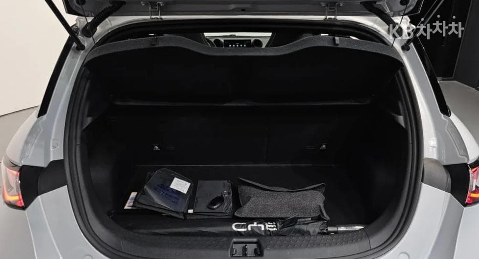 BYD 돌핀돌핀 기본 - 17