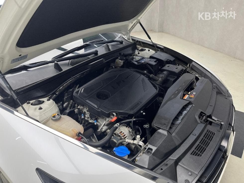 Hyundai Sonata (DN8)2.0 LPG Rental car Style - 15
