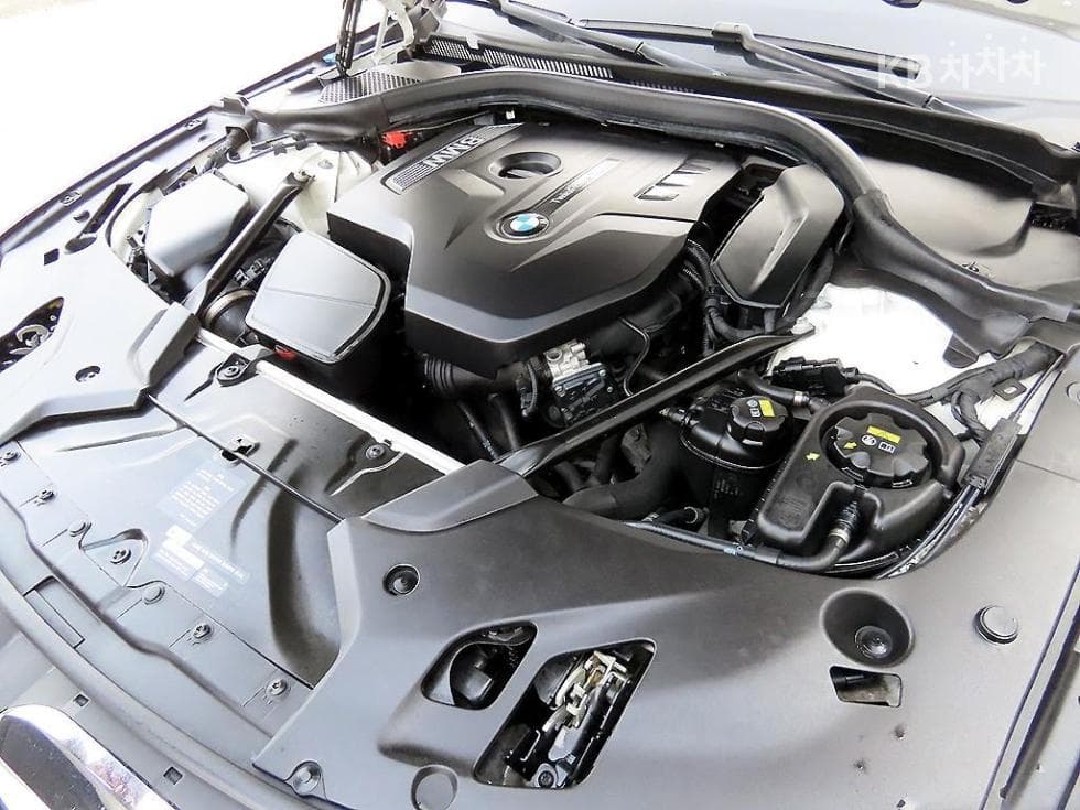 BMW 올Нов5 Серия (G30)530i M Sport Plus - 19