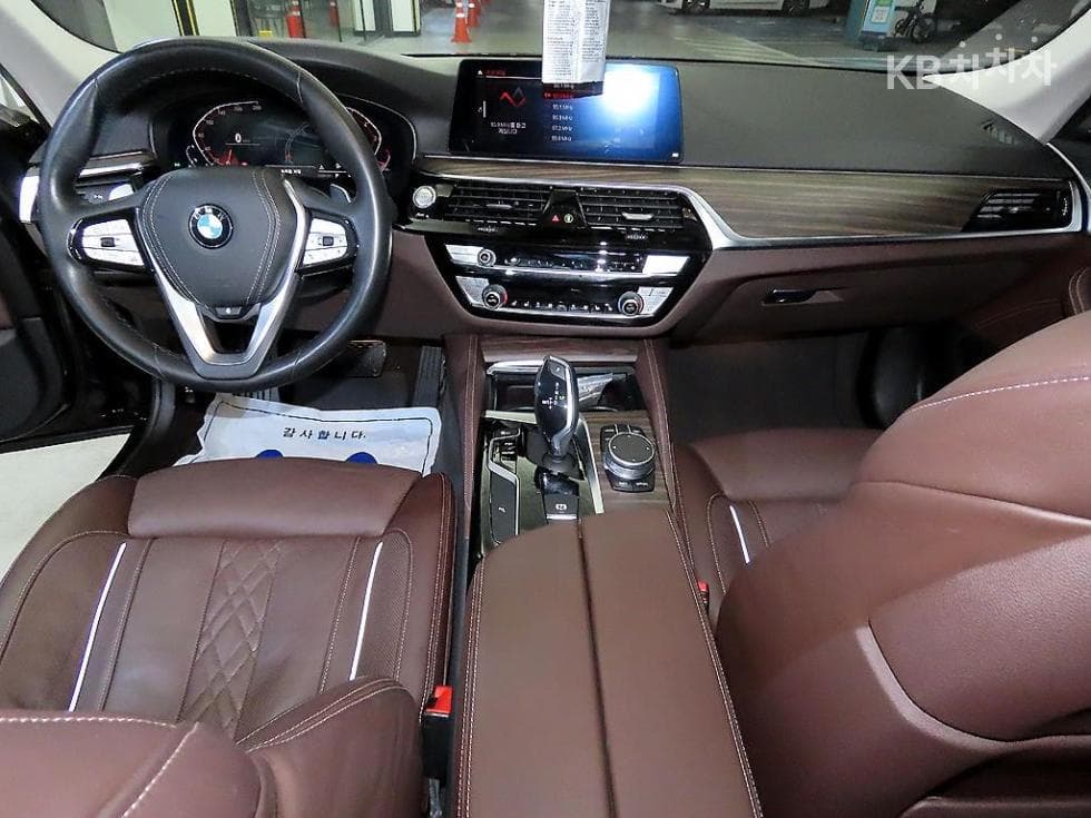 BMW 올New5 Series (G30)530i Luxury Plus - 10