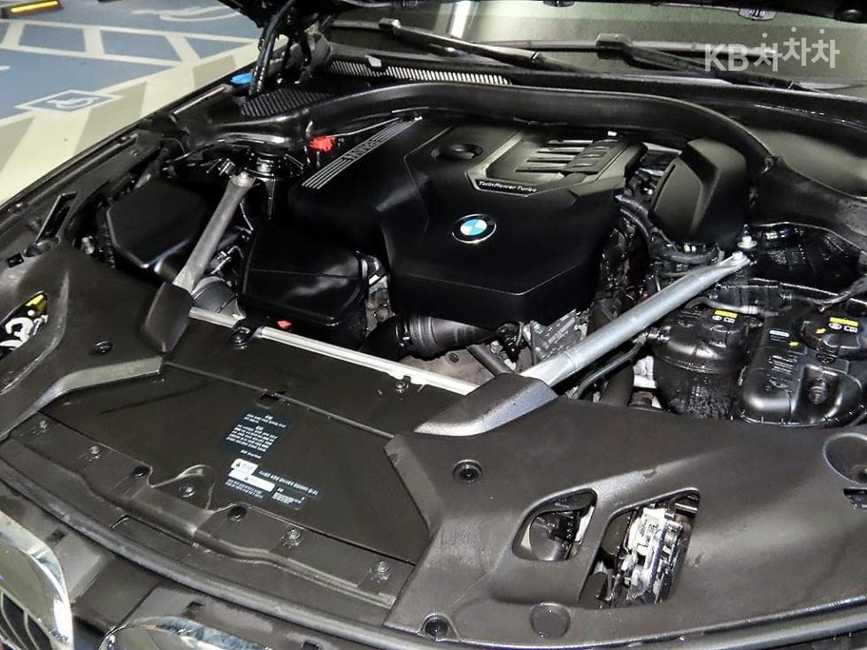 BMW 올New5 Series (G30)530i Luxury Plus - 19