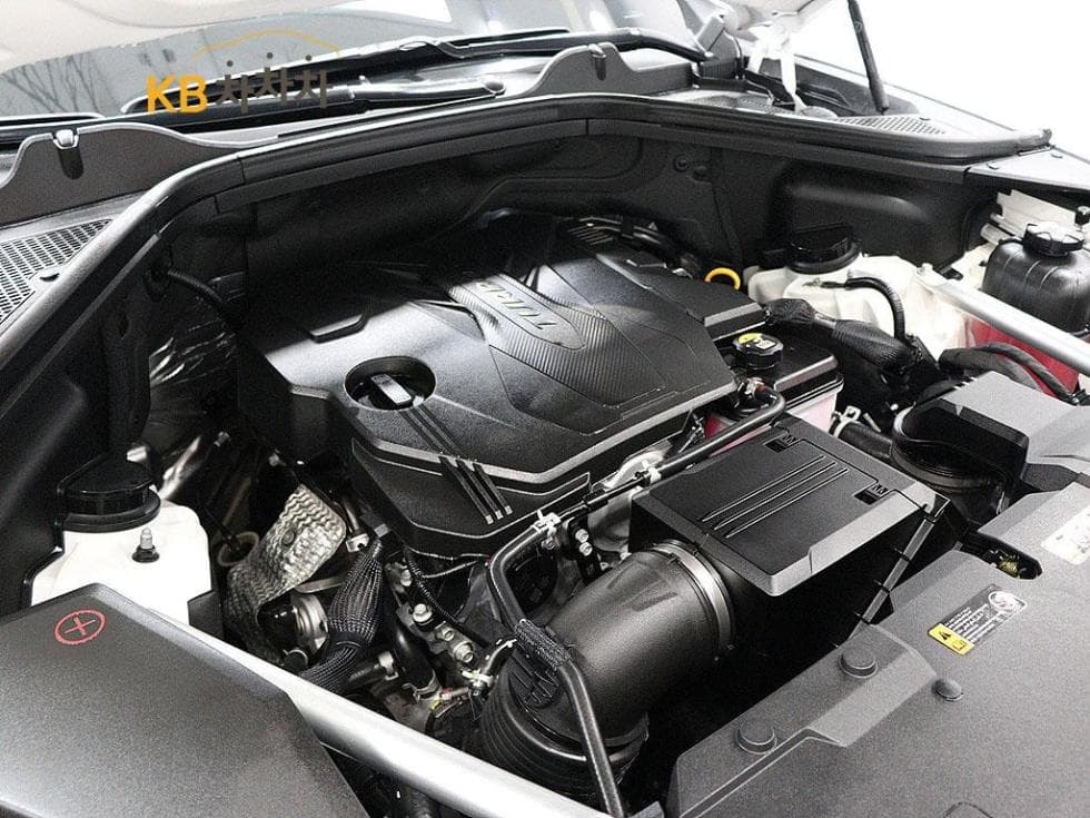 Genesis GV802.5 Turbo Gasoline AWD - 19