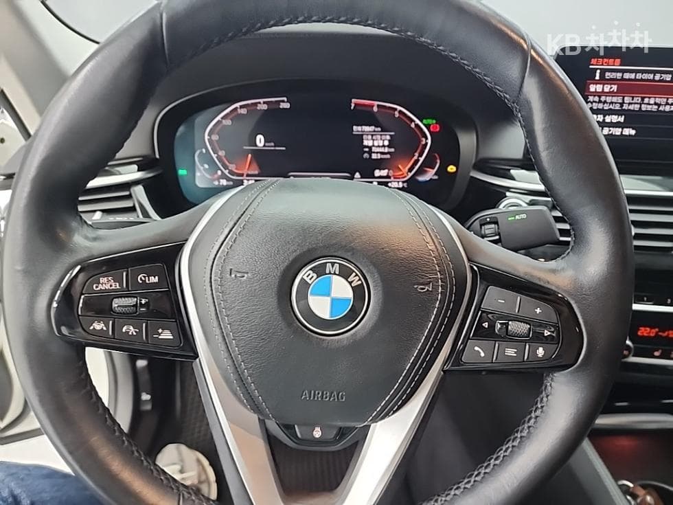 (115ger6684)BMW All-New 5 Series (G30)520i Luxury - 9