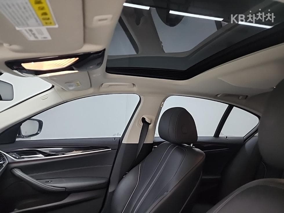 (115ger6684)BMW All-New 5 Series (G30)520i Luxury - 14