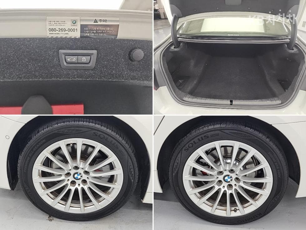 (115ger6684)BMW All-New 5 Series (G30)520i Luxury - 18