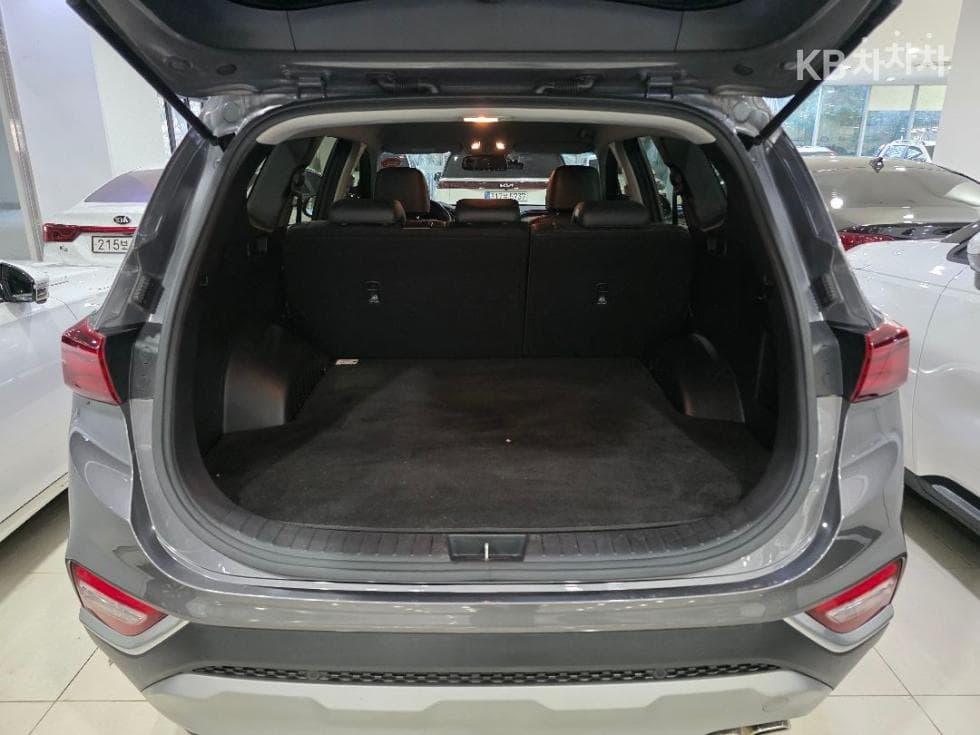 Hyundai Santa Fe TMDiesel 2.0 2WD Premium - 17