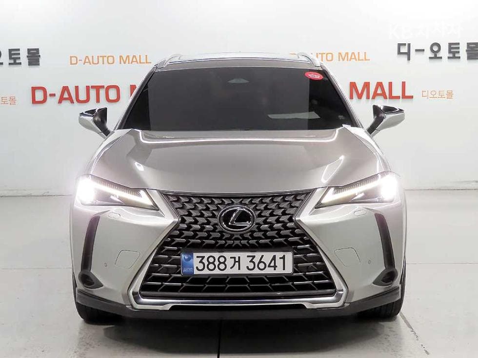 Lexus UX300h Стандартен - 2