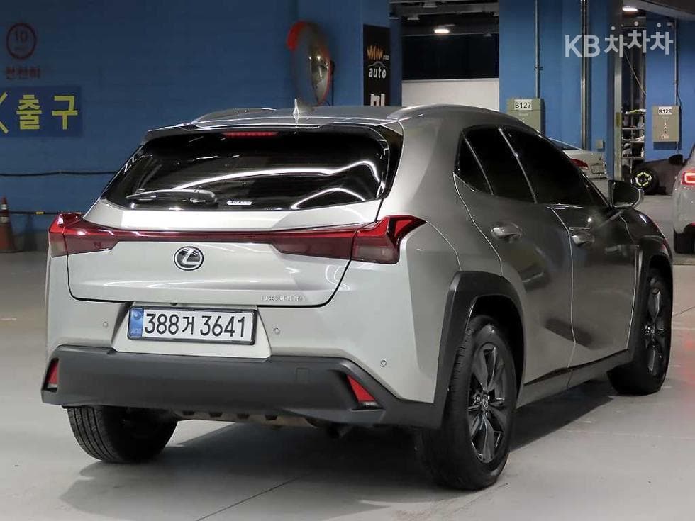 Lexus UX300h Стандартен - 4