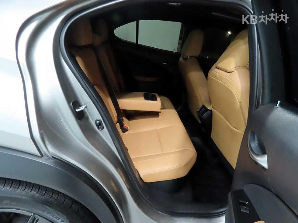 Lexus UX300h Стандартен - 8