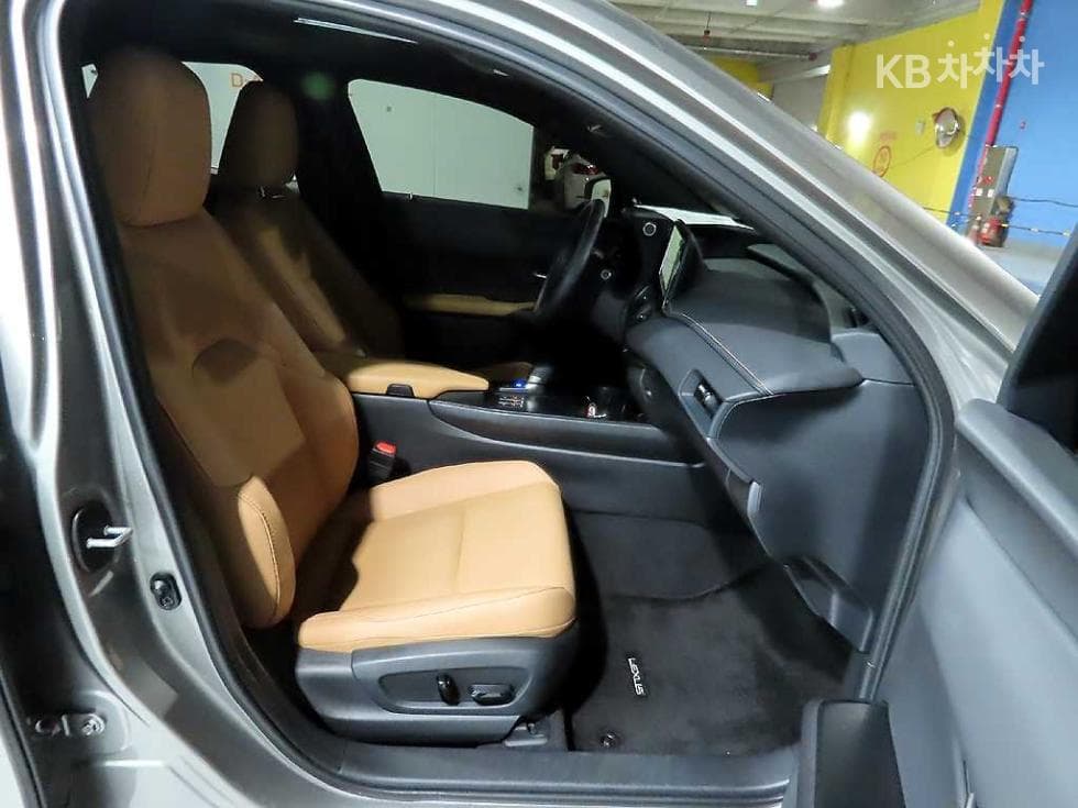 Lexus UX300h Стандартен - 9