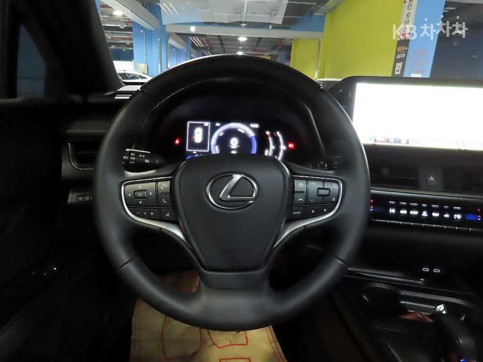 Lexus UX300h Стандартен - 11