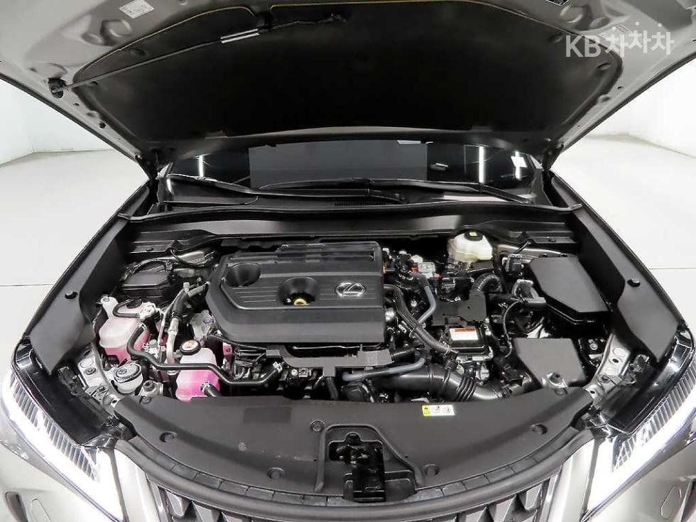Lexus UX300h Стандартен - 19