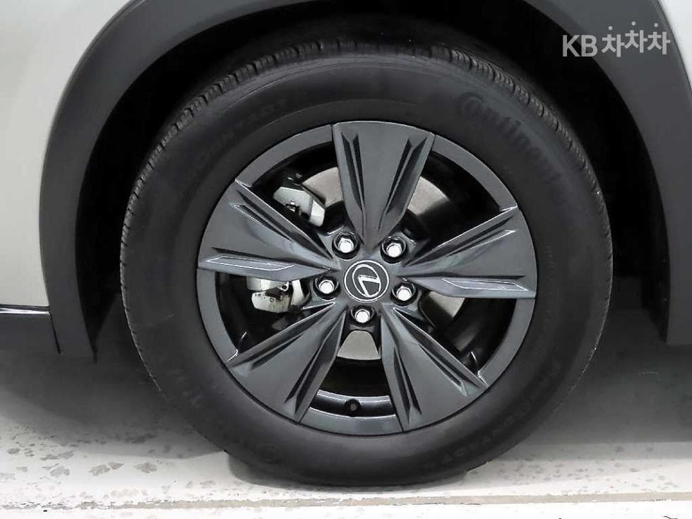 Lexus UX300h Стандартен - 20