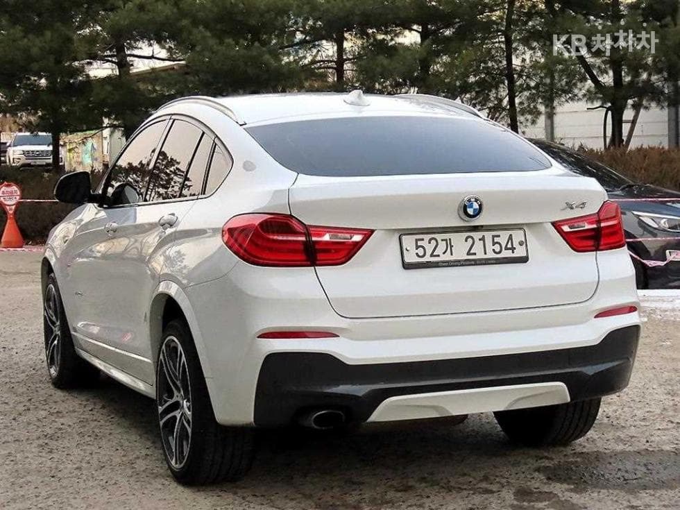 BMW X4 (F26)20d xDrive M 스포츠 - 3