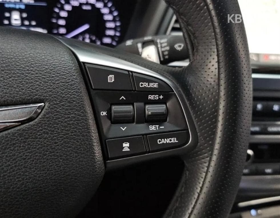 Genesis G803.3 GDI AWD Premium Luxury - 19