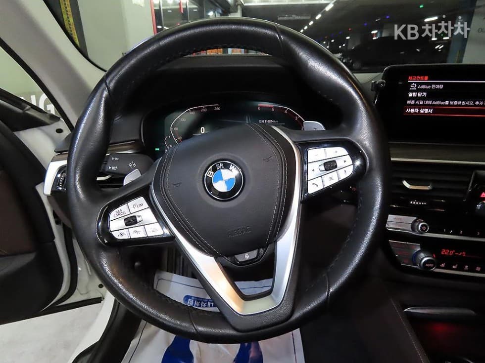 BMW 올New5 Series (G30)520d xDrive Luxury Plus - 8