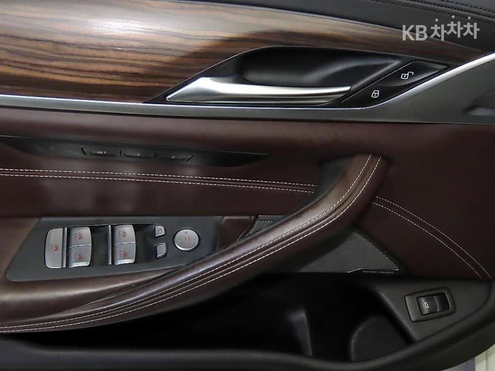 BMW 올New5 Series (G30)520d xDrive Luxury Plus - 14
