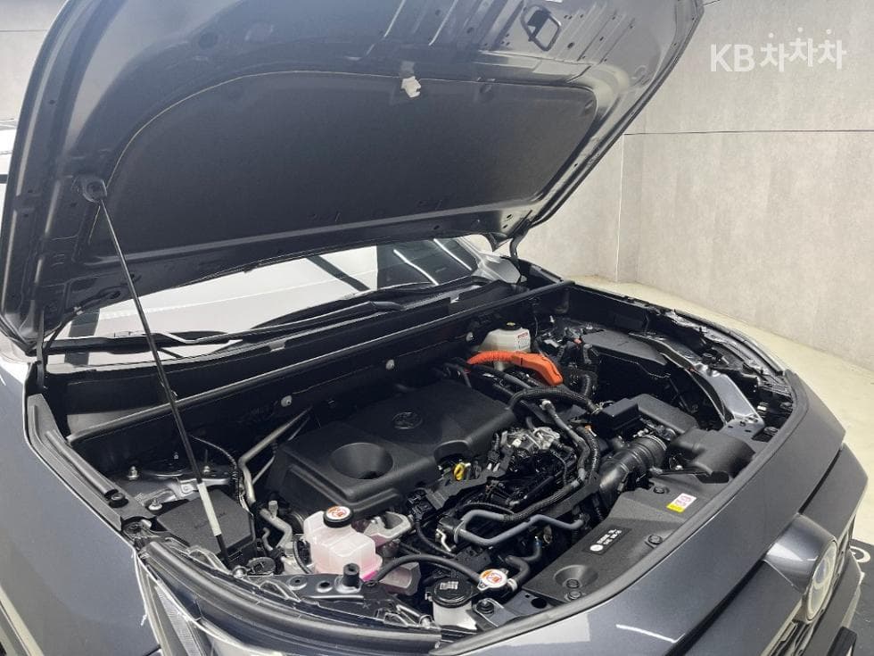 Toyota New RAV42.5L hybrid AWD Limited - 17