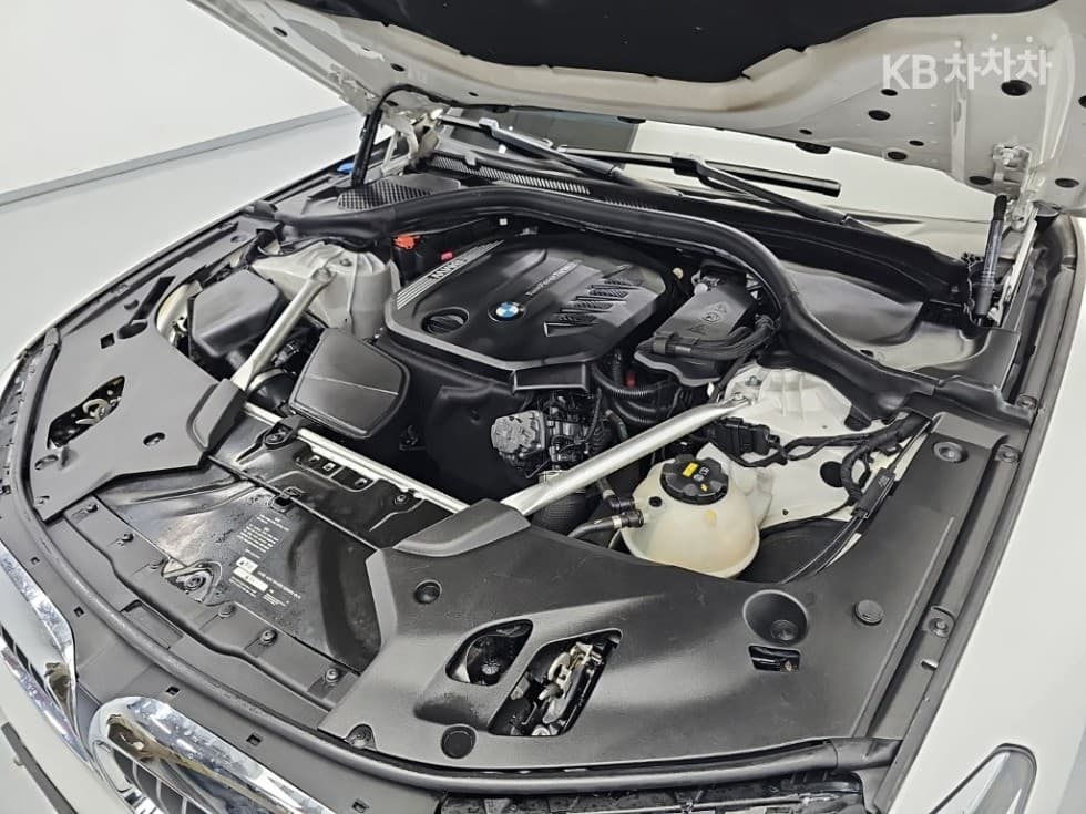 BMW 올Нов5 Серия (G30)520d Luxury Plus - 5