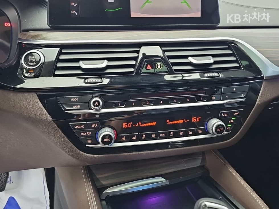 BMW 올Нов5 Серия (G30)520d Luxury Plus - 10