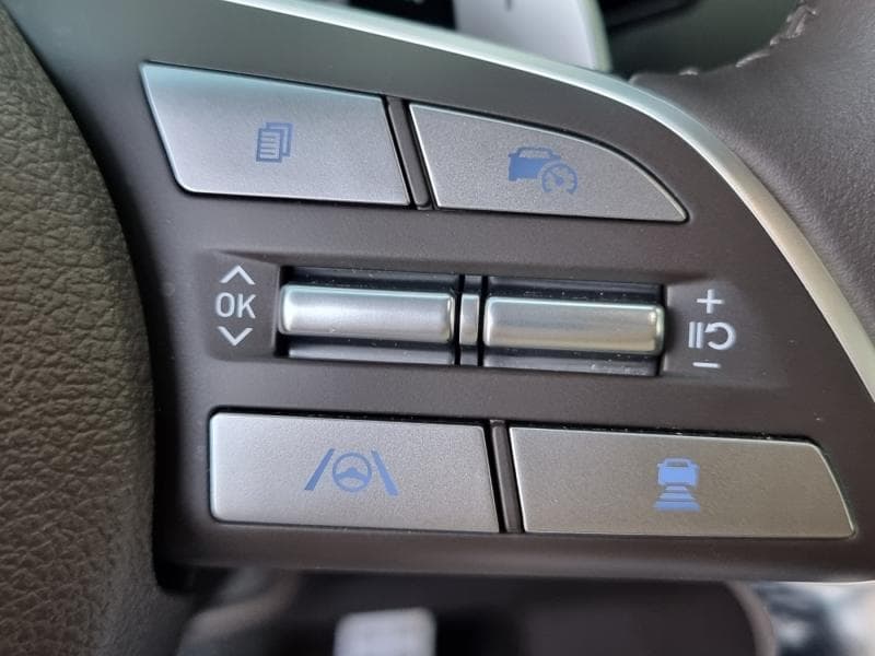 Hyundai The New (facelift) Palisade3.8 Gasoline 4WD Calligraphy 블랙에디션 - 7