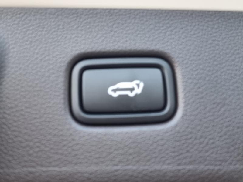 Hyundai The New (facelift) Palisade3.8 Gasoline 4WD Calligraphy 블랙에디션 - 11