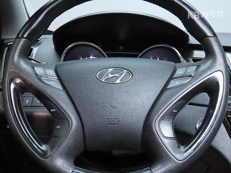 Hyundai YFSonataLPI Premiere - 17