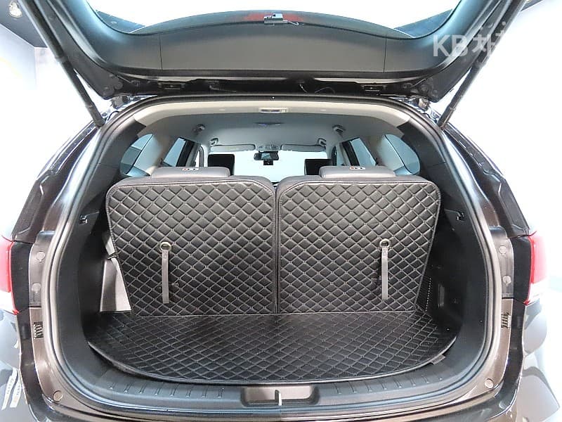 Hyundai The New (facelift) 맥스CruzeGasoline(람다)3.3V6 GDi 4WD Exclusive 6Seater - 19