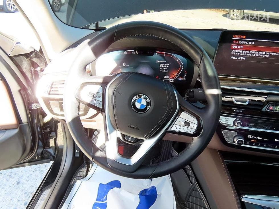 BMW 올New5 Series (G30)523d xDrive Luxury - 8