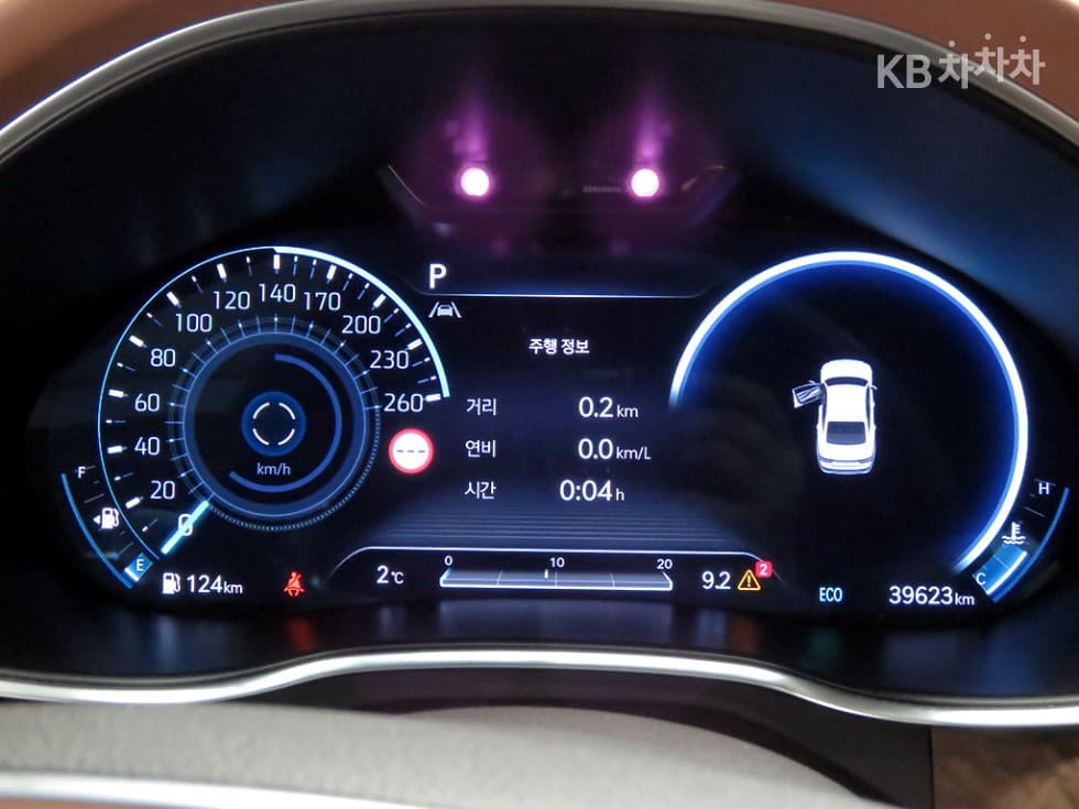 Дженезис G80(RG3)2.5 Турбо Бензин Директ Инжекция AWD - 9