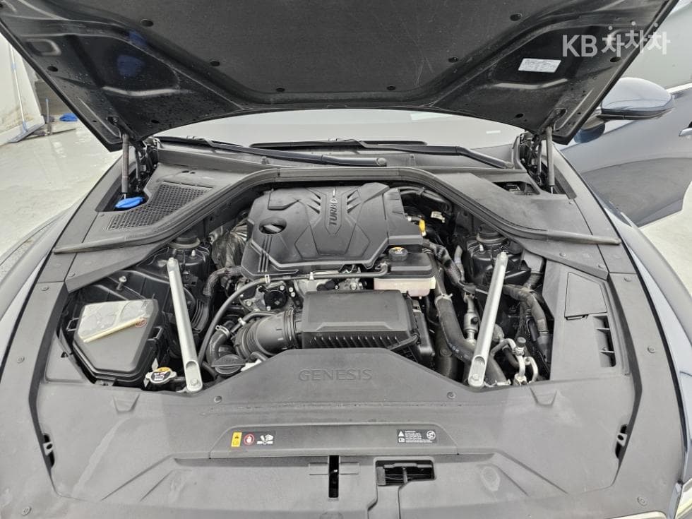 Дженезис G80(RG3)2.5 Турбо Бензин Директ Инжекция AWD - 8