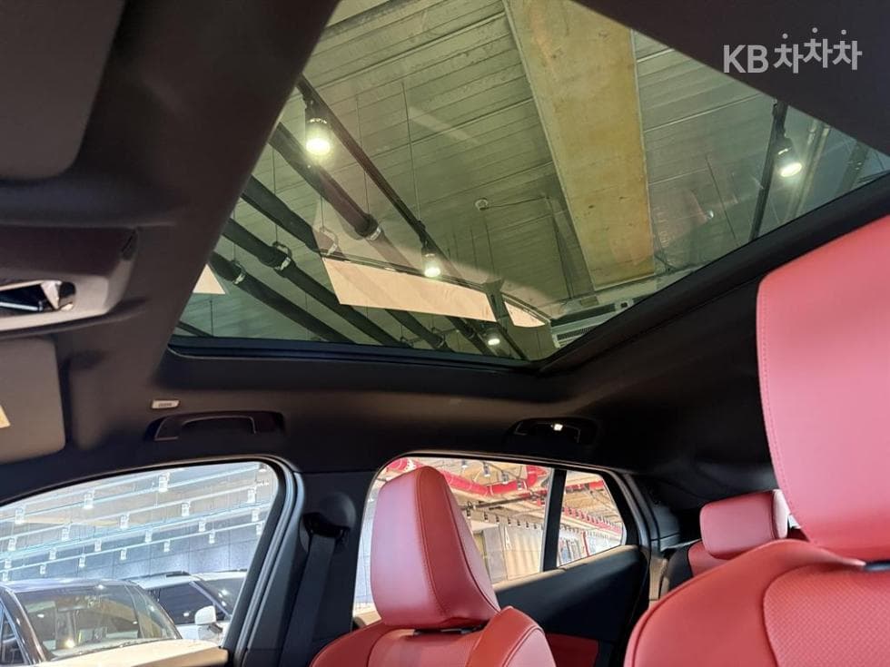 BMW X2 (U10)xDrive20i M Sport - 19