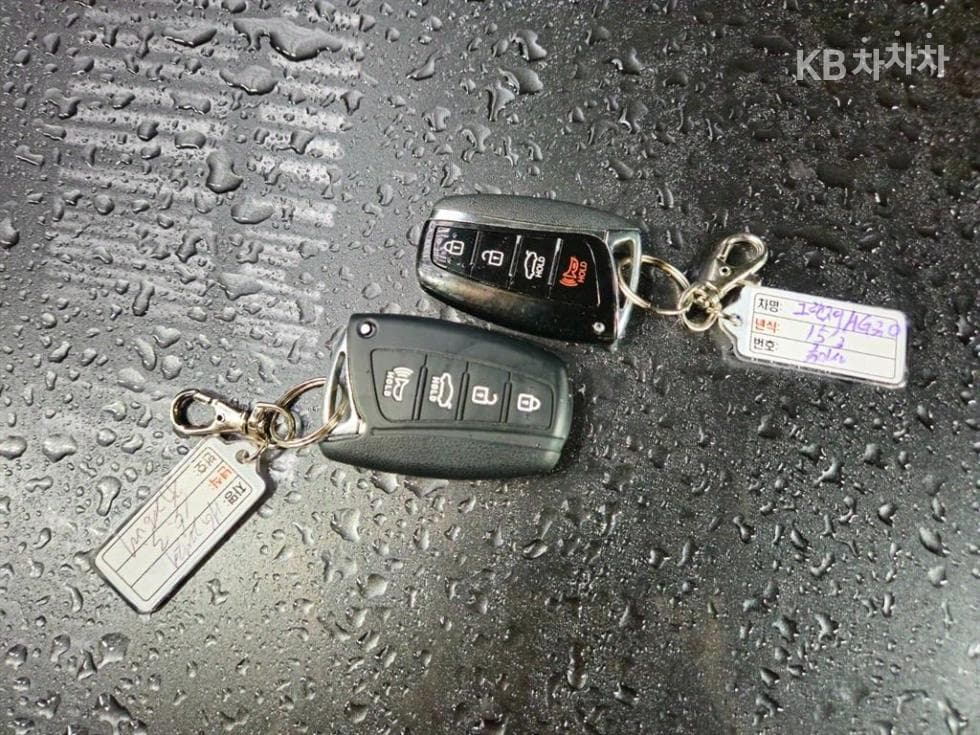 Hyundai Grandeur (Azera)HGHG300 Exclusive Special (special feature/edition) - 18