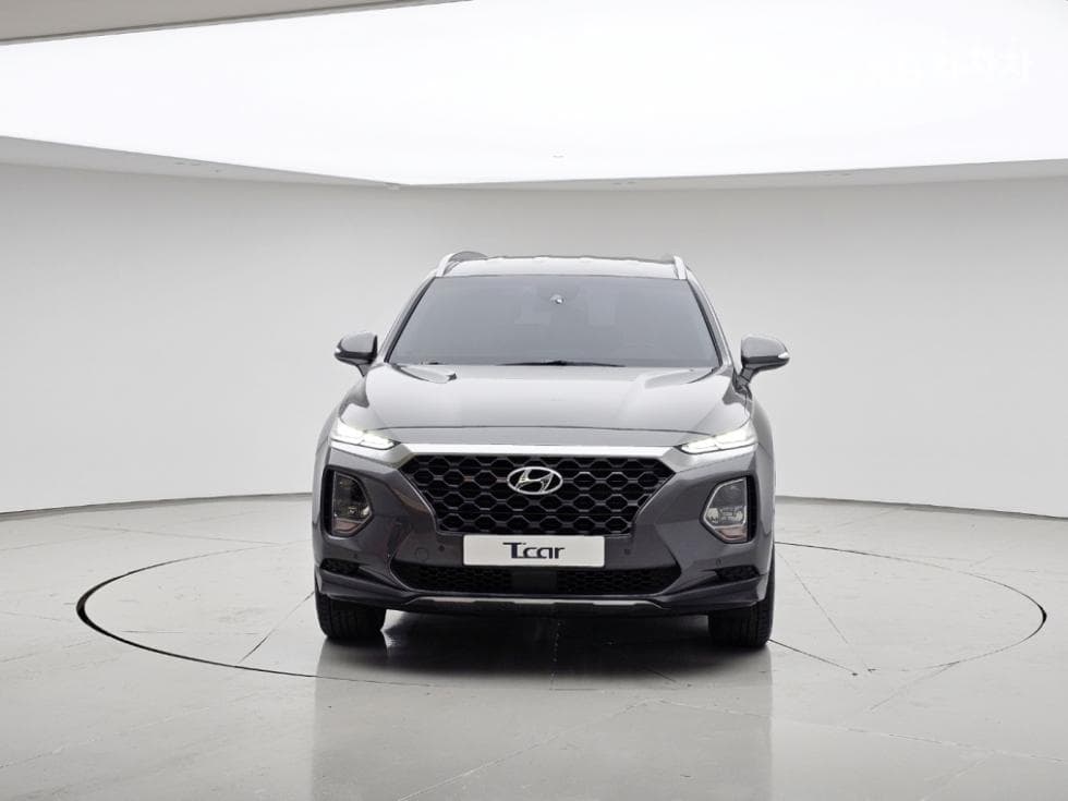 Hyundai Santa Fe TMDiesel 2.0 2WD Exclusive - 2