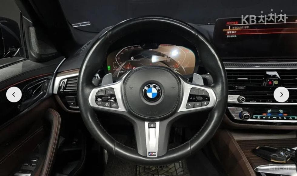 BMW 올Нов5 Серия (G30)530i M Sport - 13