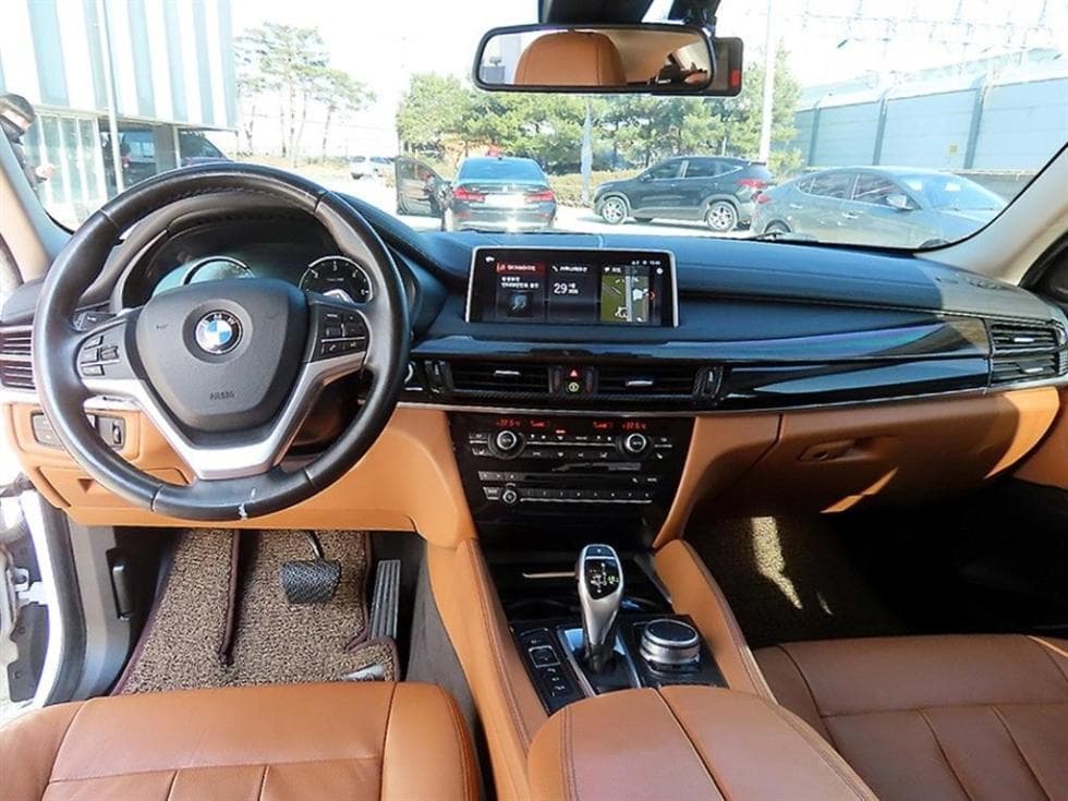 BMW X6(F16)xDrive 30d Standard - 7